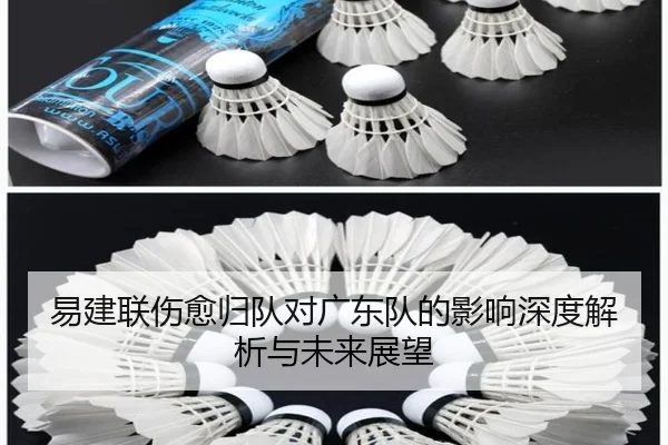 易建联伤愈归队对广东队的影响深度解析与未来展望